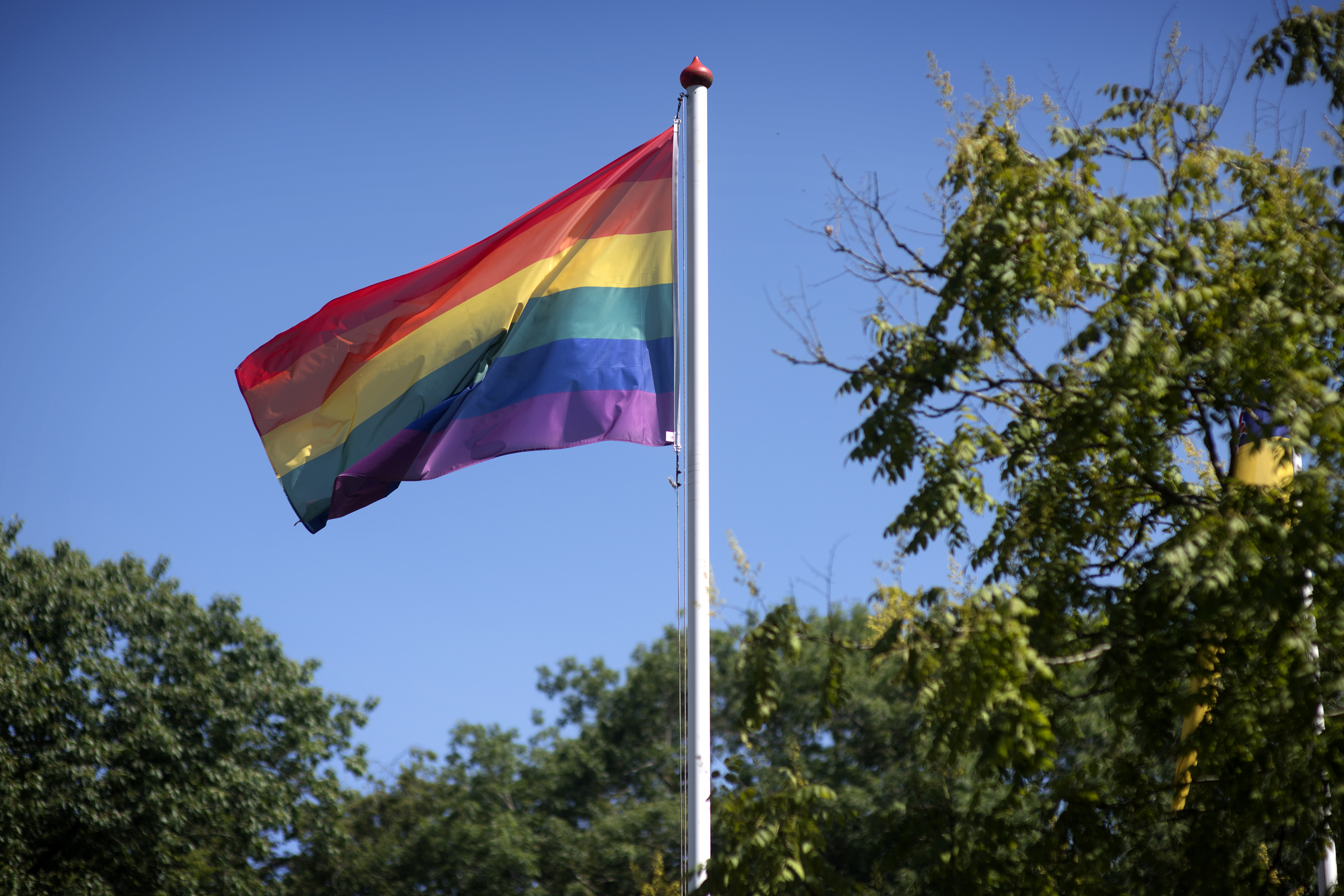 vlag met regenboogkleuren